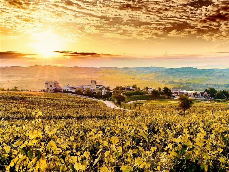 Zornitza Family Estate Relais & Chateaux Melnik  Zewnętrze zdjęcie